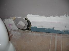 lower bathroom reno 2010
